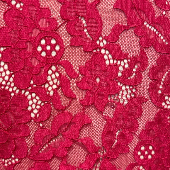 ✨👏😍Cami NYC lace long sleeve top in pink ✨✨✨✨✨ - Picture 6 of 8